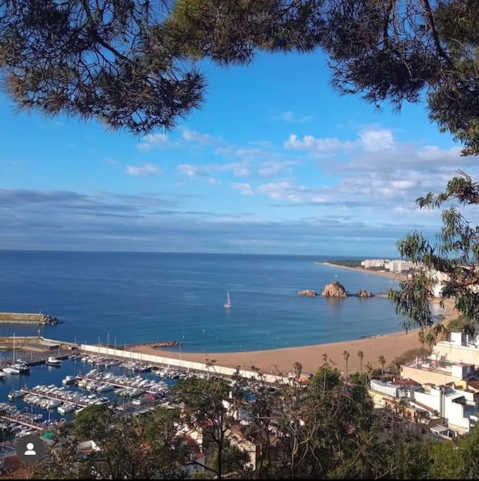 Piso Ideal Para Una Familia Ubicado Cerca Del Mar Бланес Экстерьер фото